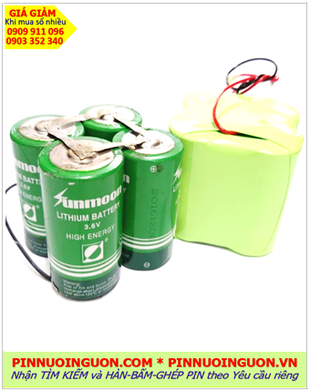 Pin thiết bị hàng hải 3.6v-80 000mAh; Pin thiết bị hàng hải Lithium 3.6v-80 000mAh chính hãng 